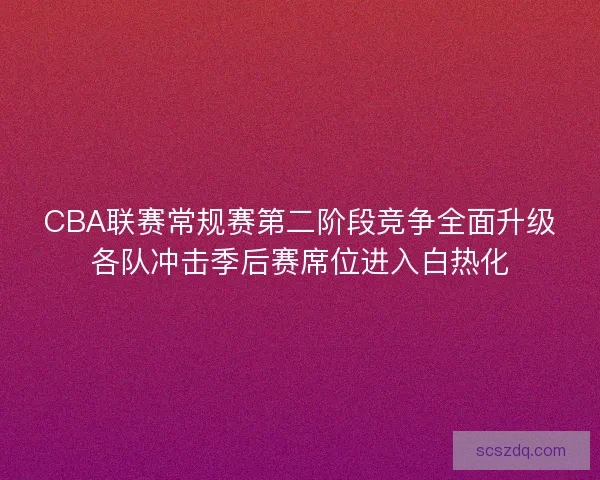 CBA联赛常规赛第二阶段竞争全面升级各队冲击季后赛席位进入白热化